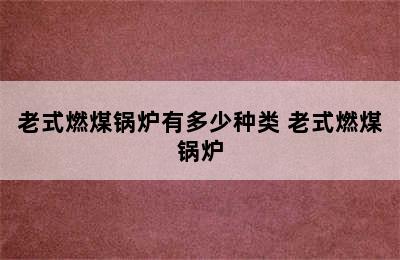 老式燃煤锅炉有多少种类 老式燃煤锅炉